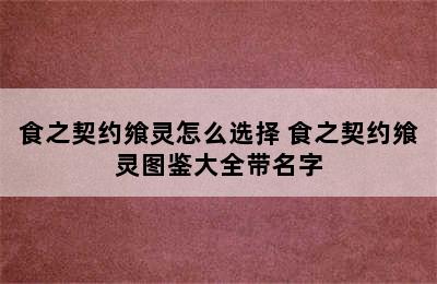 食之契约飨灵怎么选择 食之契约飨灵图鉴大全带名字